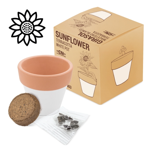 Maceta terracota white