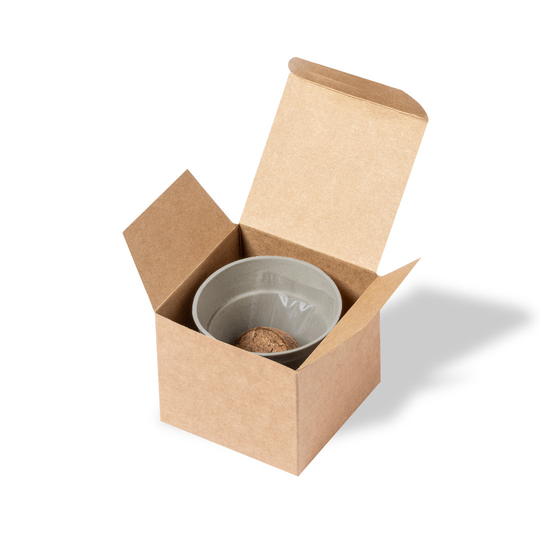 maceta biodegradable 2