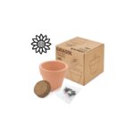 Maceta terracota con semillas GIRASOL