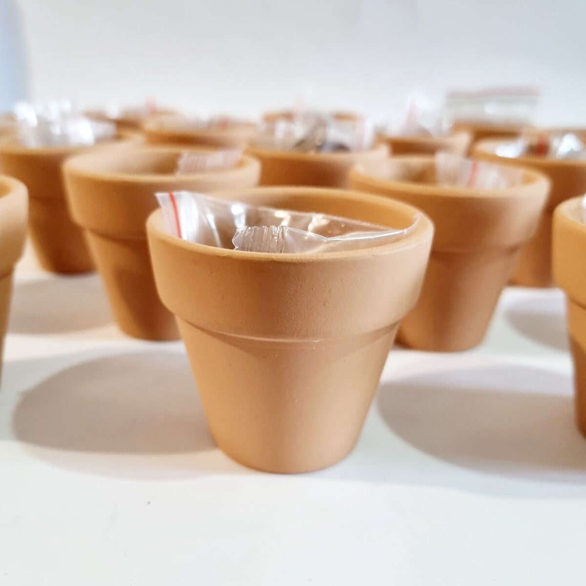 mini maceta