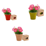 maceta petunias