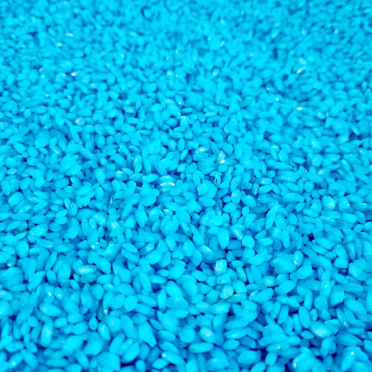 arroz boda