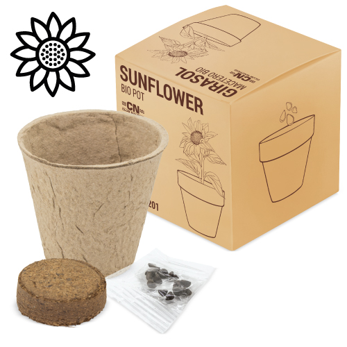 Maceta biodegradable Girasol
