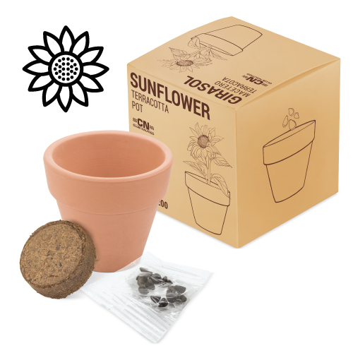 Maceta terracota Girasol